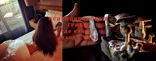МДПВ Волосово