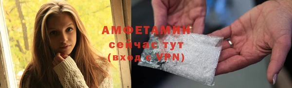 индика Протвино
