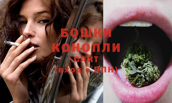 МДПВ Волосово